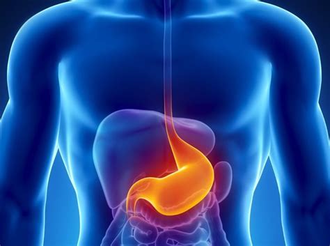 Zhurmat e stomakut mund t&235; jen&235; t&235; &231;uditshme, por duhet t&235; mbani mend se ato jan&235; krejt&235;sisht normale. . Ulcera ne stomak